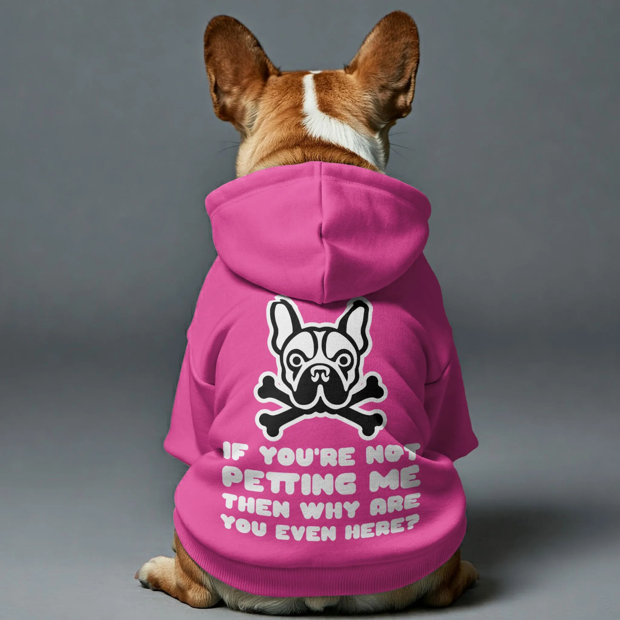 IF YOU'RE NOT PETTING ME ,THEN WHY ARE YOU EVEN HERE?  -  Personalized French Bulldog Hoodies with Funny Quotes – Stylish, Cozy, and Premium 100% Cotton