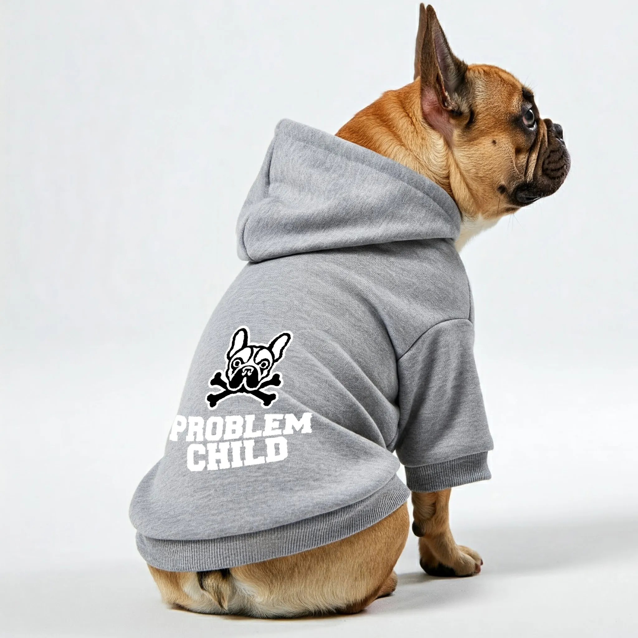 Problem child - Personalized French Bulldog Hoodies with Funny Quotes – Stylish, Cozy, and Premium 100% Cotton