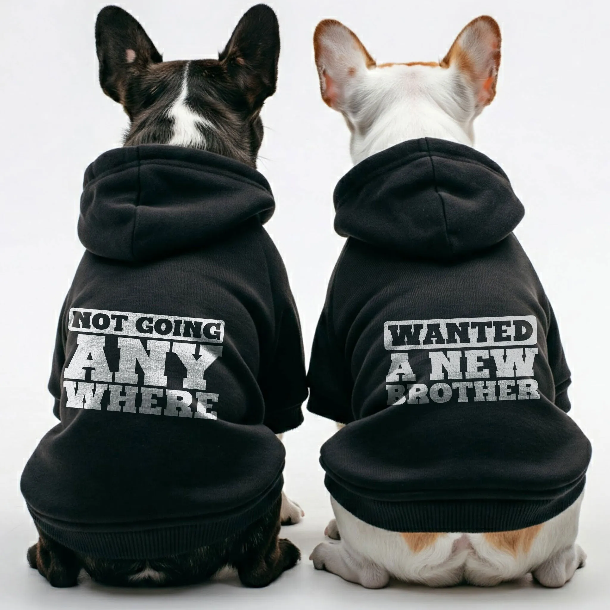 Wanted A New Brother and Not Going Anywhere - Matching French Bulldog Hoodies – Stylish, Cozy & Personalized!