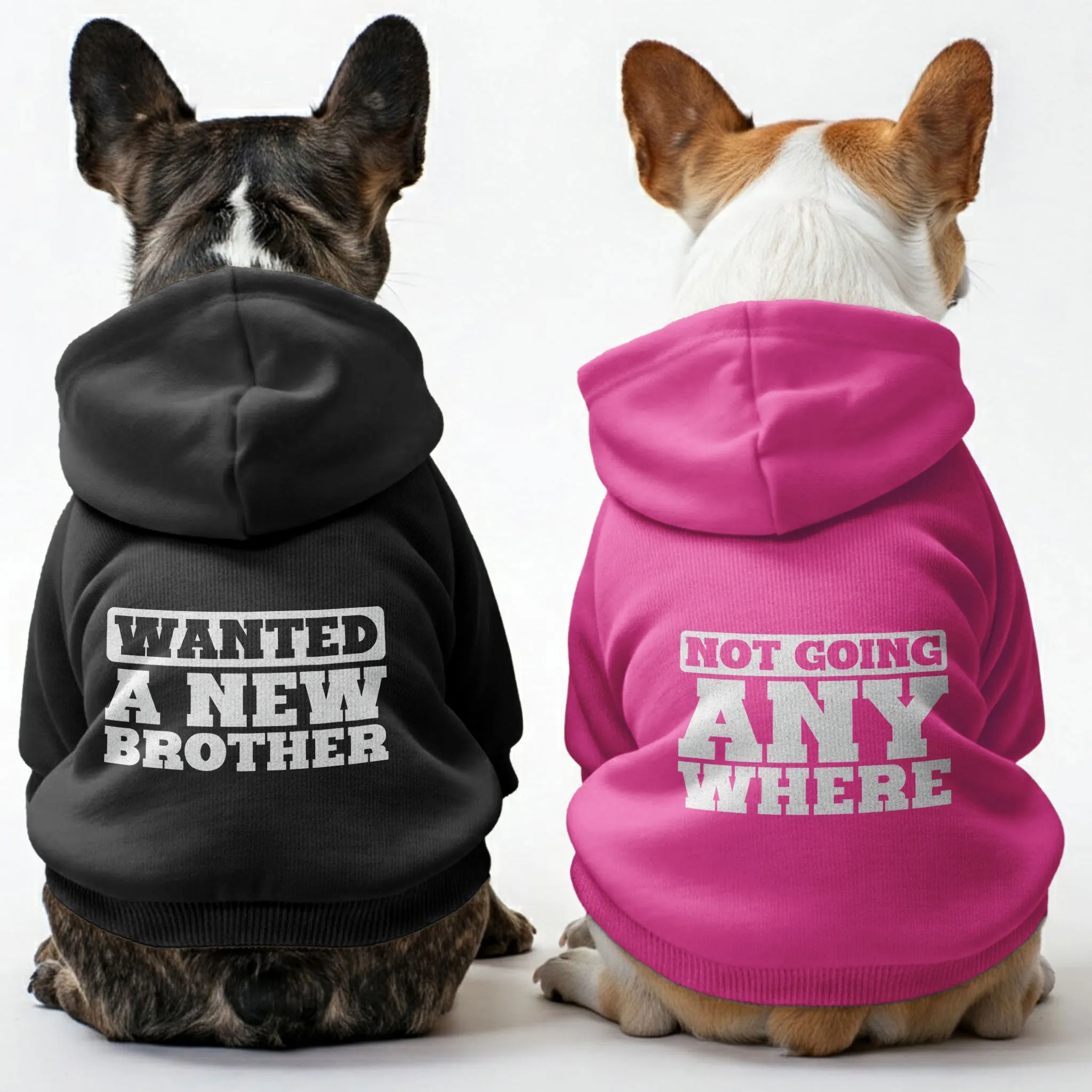 Wanted A New Brother and Not Going Anywhere - Matching French Bulldog Hoodies – Stylish, Cozy & Personalized!