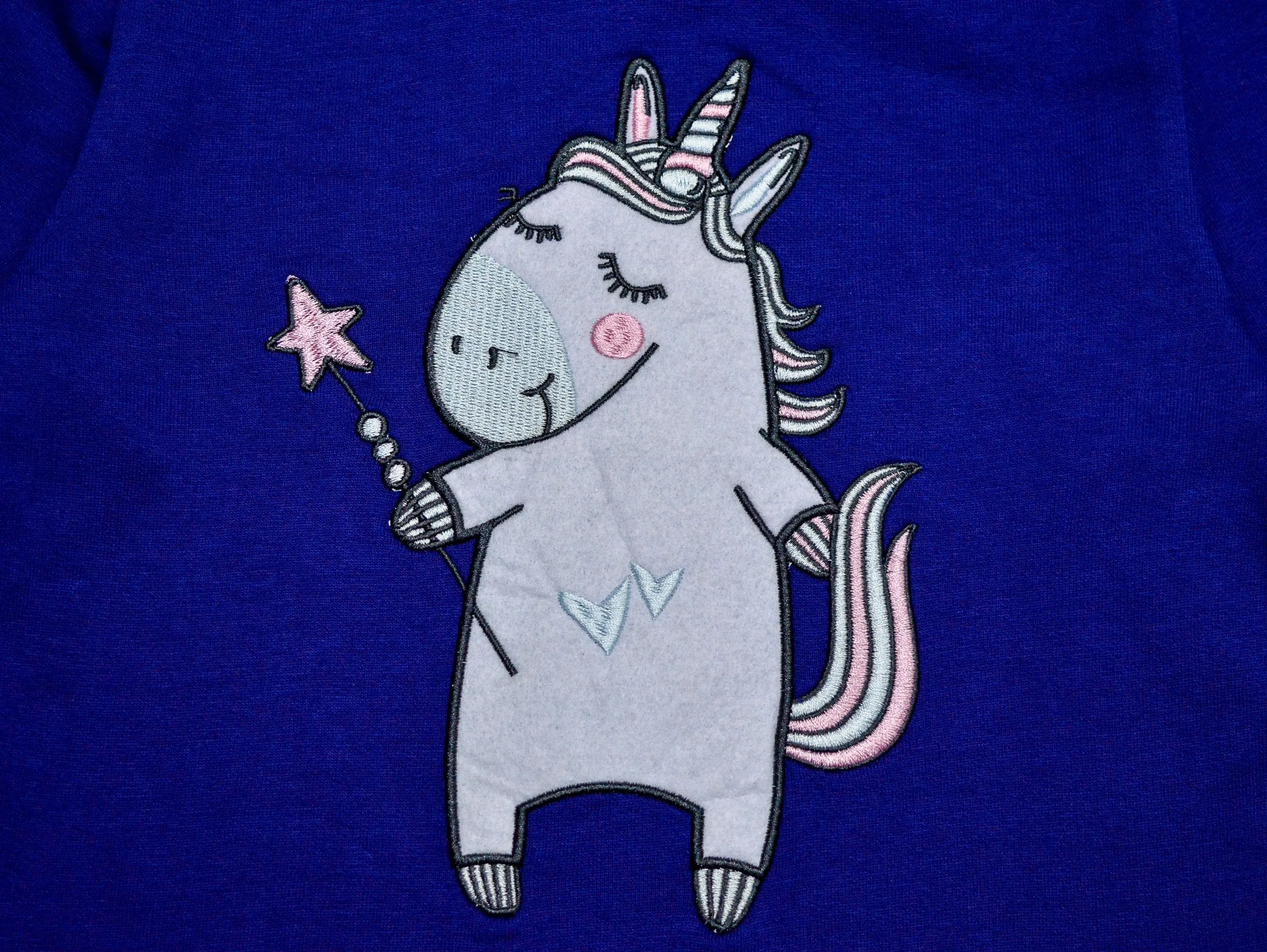 Winter Sweatshirt- Magical Unicorn